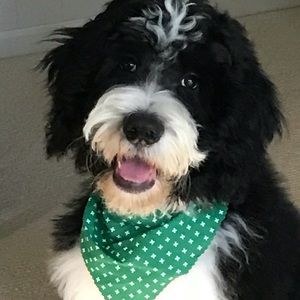 Meet your Posher, Jill